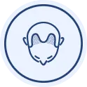 Injerto de Cabello